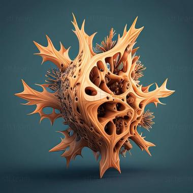 3D модель Cirrhigaleus australis (STL)